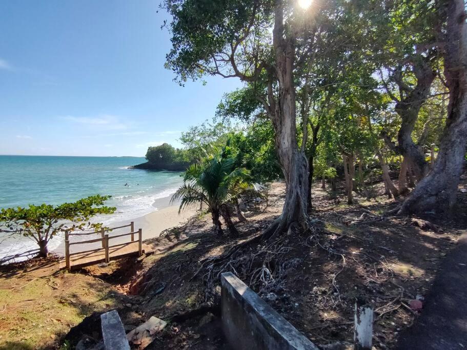 Haut De Villa Avec Vue Sur La Mer Sainte-Rose Εξωτερικό φωτογραφία