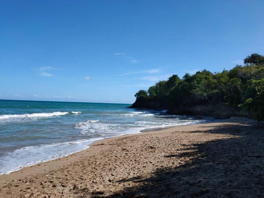 Haut De Villa Avec Vue Sur La Mer Sainte-Rose Εξωτερικό φωτογραφία